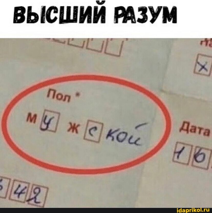 ВЫСШИЙ РАЗУМ