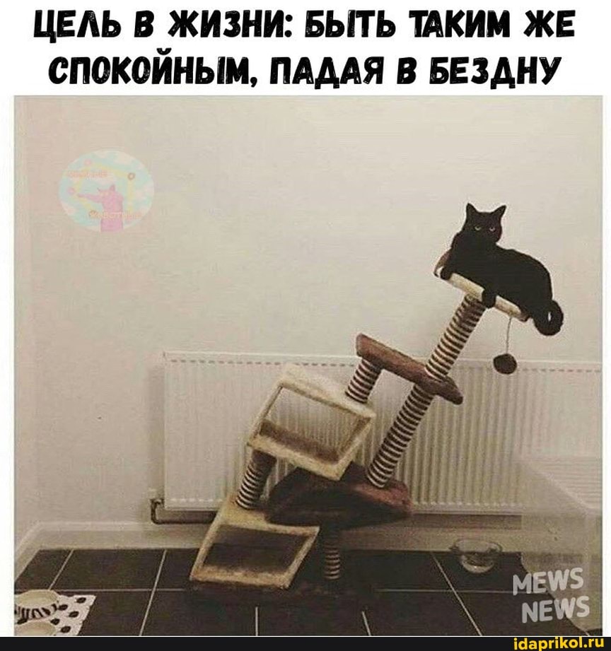 ЦЕЛЬ В ЖИЗНИ: БЫТЬ ТАКИМ ЖЕ СПОКОЙНЫМ, ПАДАЯ В БЕЗДНУ
