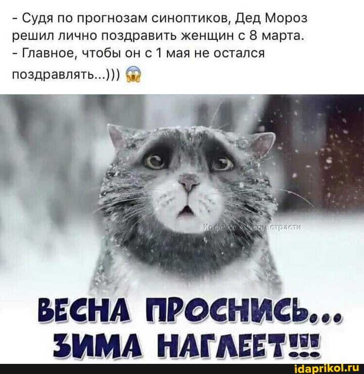 - Судя по прогнозам синоптиков, Дед Мороз решил лично поздравить женщин с 8 марта.
- Главное, чтобы он с 1 мая не остался
поздравлять...)))
ВЕСНА ПРОСНИСЬ...
ТМААД НАГАРЕИт