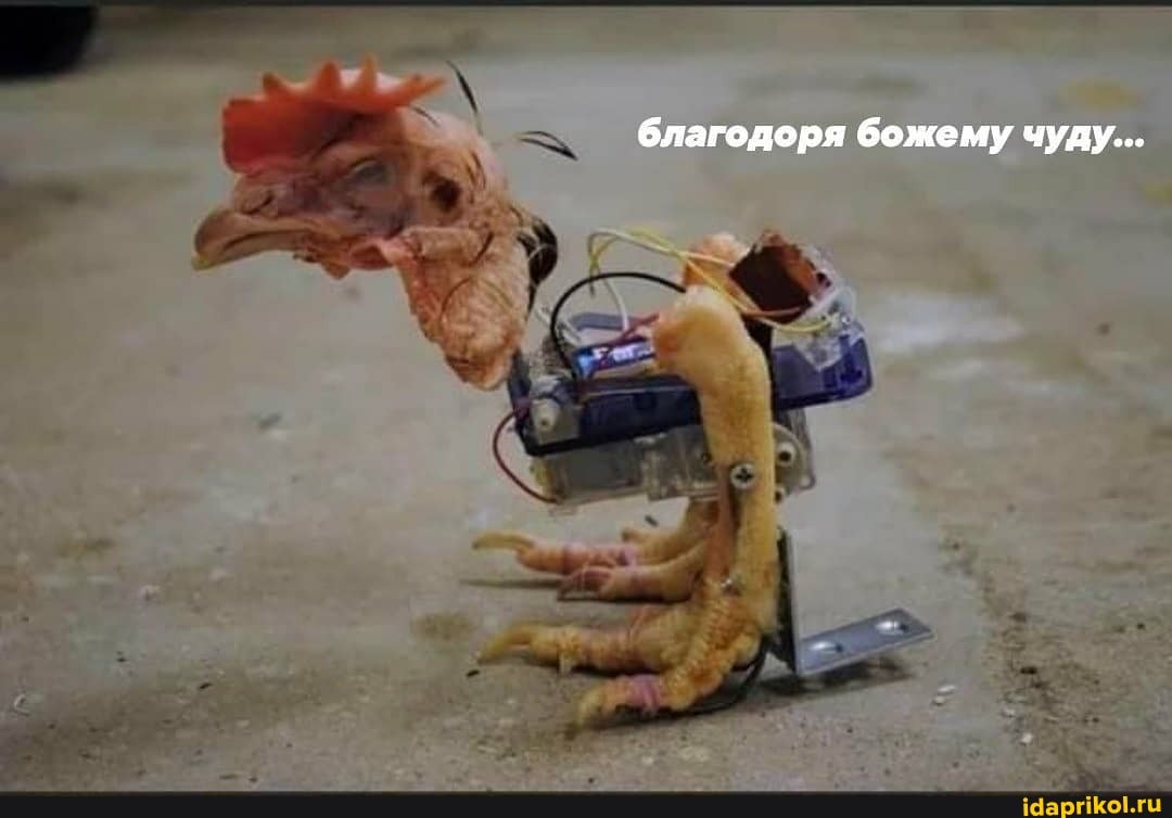 благодоря божему чуду...