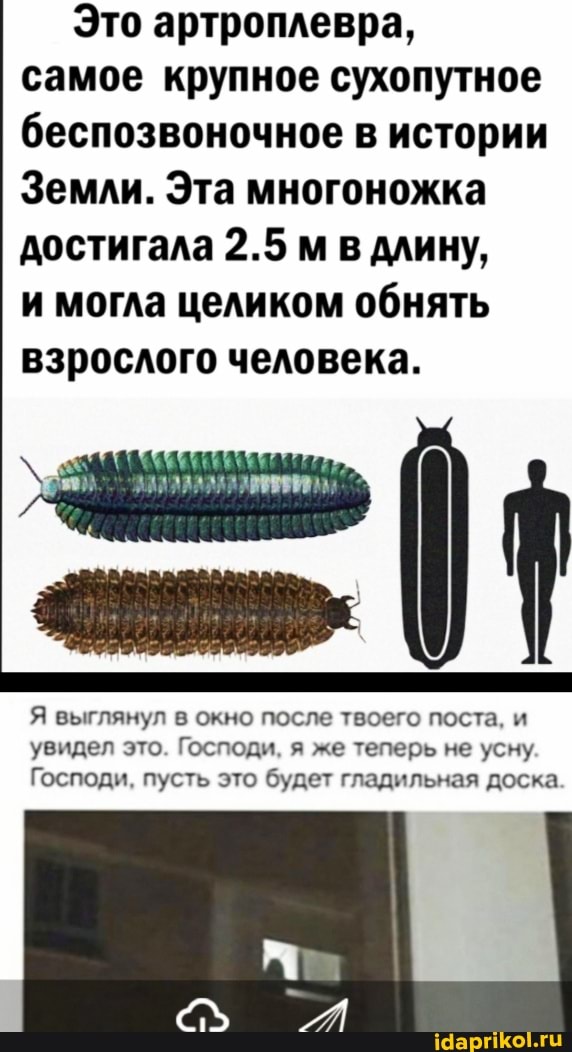 Это артроплевра, самое крупное сухопутное беспозвоночное в истории
Земли. Эта многоножка достигала 2.5 м в длину,
и могла целиком обнять взрослого человека.
я выглянул в окно после твоего поста, и увидел это. Господи, я же теперь не усну.
Господи, пусть это будет гладильная доска