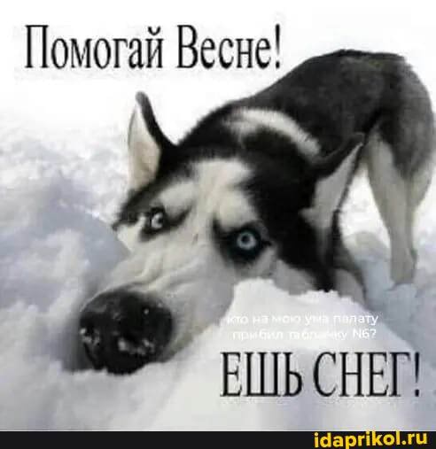 Помогай Весне!
ЕШЬ СНЕГ!