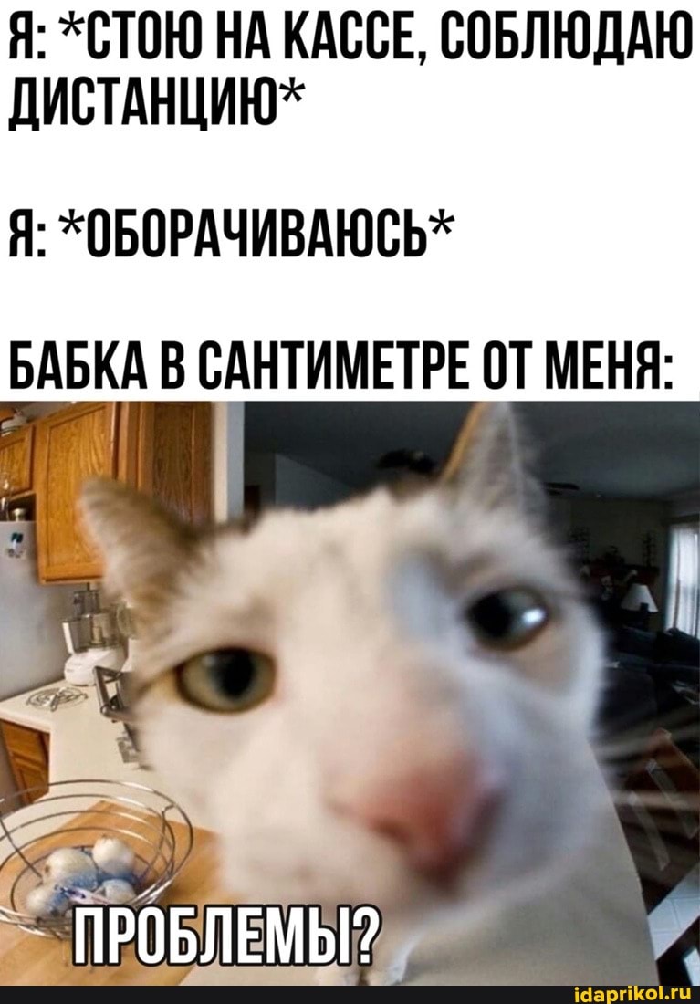 Я: *СТОЮ НА КАССЕ, СОБЛЮДАЮ ДИСТАНЦИЮ*
Я: *ОБОРАЧИВАЮСЬ*
БАБКА В САНТИМЕТРЕ ОТ МЕНЯ:
ПРОБЛЕМЫ?