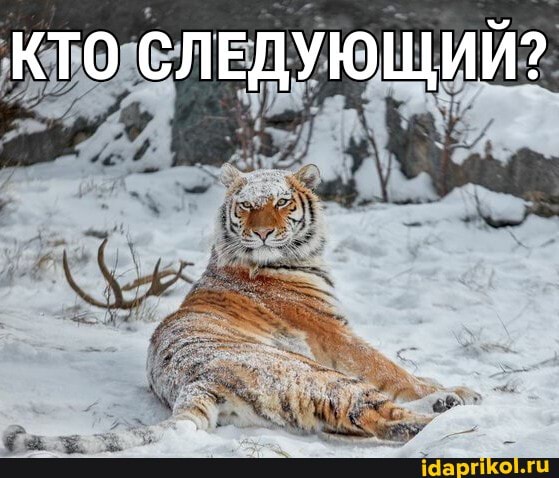 КТО СЛЕДУЮЩИЙ?
