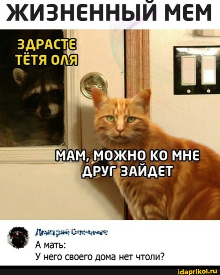 ЖИЗНЕННЫЙ МЕМ
ТЕТЯ ОЛЯ
МАМ, МОЖНО КО МНЕ ДРУГ ЗАИДЕТ
А мать:
него своего дома нет чтоли?