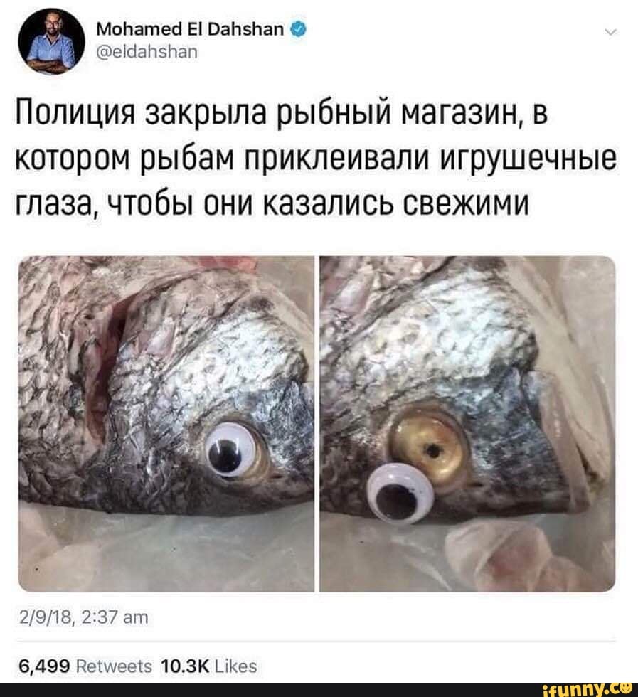 Полиция закрыла рыбный магазин, в
котором рыбам приклеивали игрушечные
глаза, чтобы они казались свежими