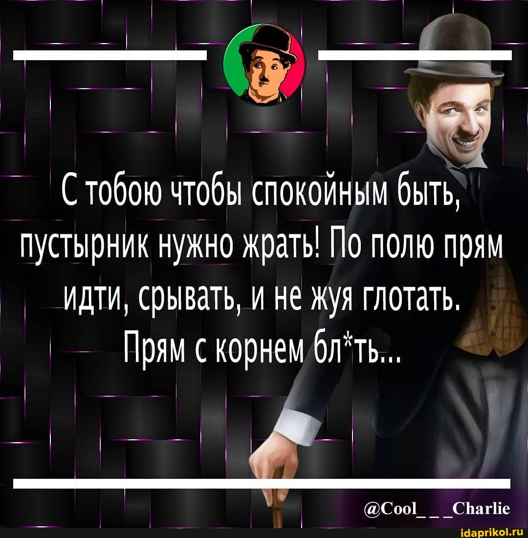 тобою чтобы спокойным быть, пустырник нужно жрать! По полю прям идти, срывать, и не жуя глотать.
Прям корнем
@Соо1_ _ _Сваше