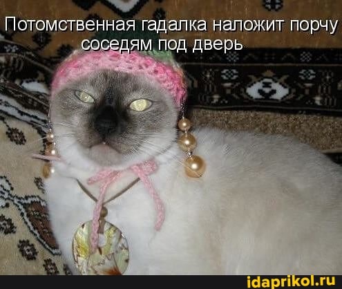 Потомственная гадалка наложит порчу соседям под дверь