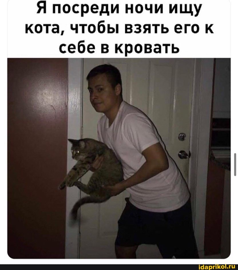 Я посреди ночи ищу
кота, чтобы взять его к
себе в кровать