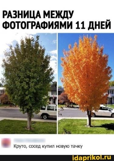 РАЗНИЦА МЕЖДУ ФОТОГРАФИЯМИ 11 ДНЕЙ
Круто, сосед купил новую тачку