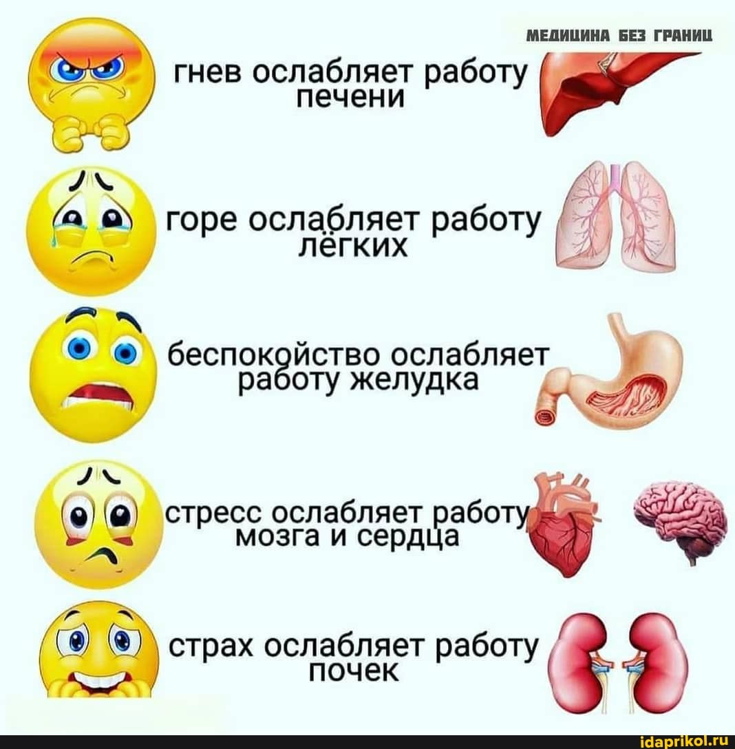 МЕДИЦИНА БЕЗ ГРАНИЦ I гнев ослабляет работу печени
горе ослабляет легких работу
лёгких I
Фо беспокойство ослабляет у оту желудка
стресс ослабляет сердца рабо "9 мозга и сердца
( страх ослабляет работу