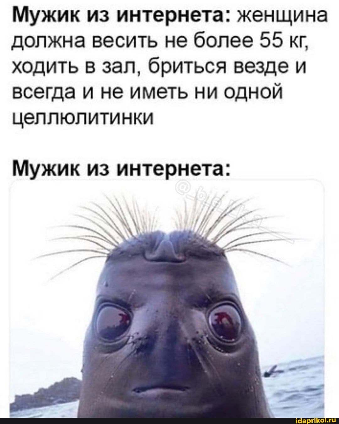 Мужик из интернета: женщина должна весить не более 55 кг, ходить в зал, бриться везде и всегда и не иметь ни одной целлюлитинки
Мужик из интернета: