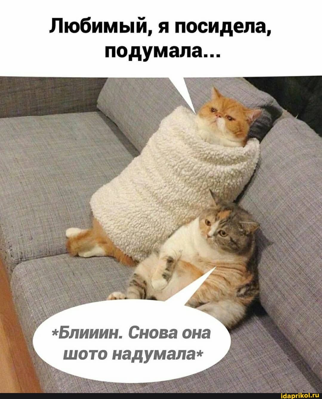 Любимый, я посидела, подумала...
#Блииин. Снова она шото надумала*