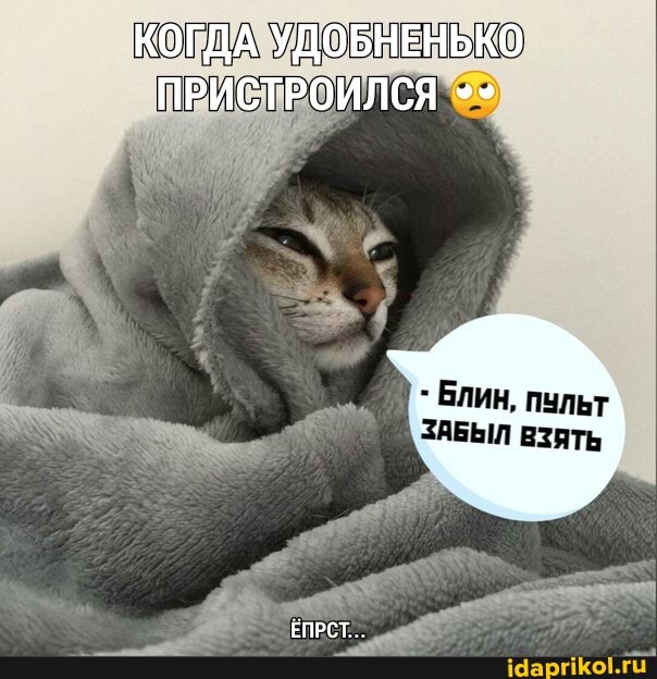 КОГДА УДОБНЕНЬКО
ПРИСТРОИЛСЯ
Блин, пульт
ЕПРСТ..