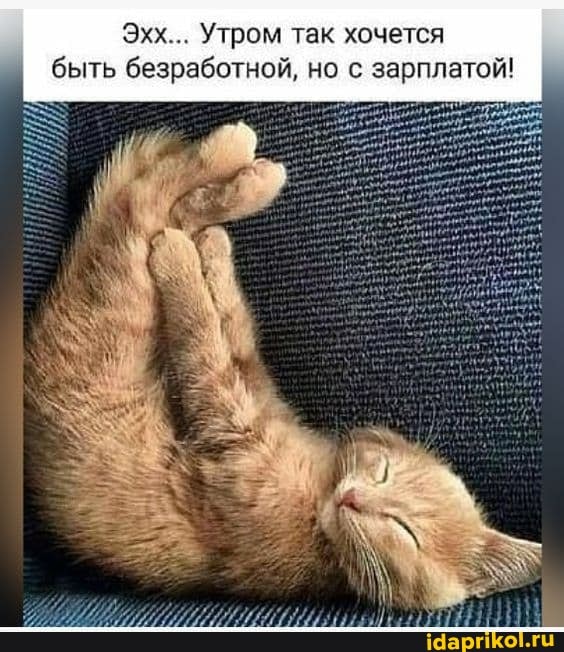 Эхх... Утром так хочется быть безработной, но с зарплатой!