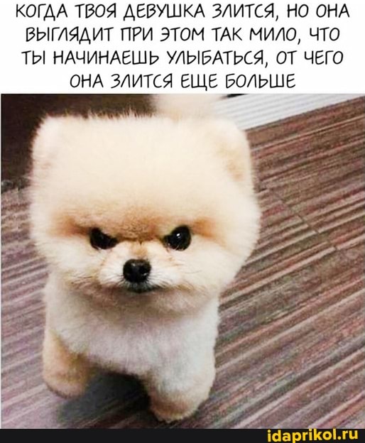 КОГДА ТВОЯ ДЕВУШКА ЗЛИТСЯ, НО ОНА ВЫГЛЯДИТ ПРИ ЭТОМ ТАК МИЛО, ЧТО ТЫ НАЧИНАЕШЬ УЛЫБАТЬСЯ, ОТ ЧЕГО
ОНА ЗЛИТСЯ ЕЩЕ БОЛЬШЕ