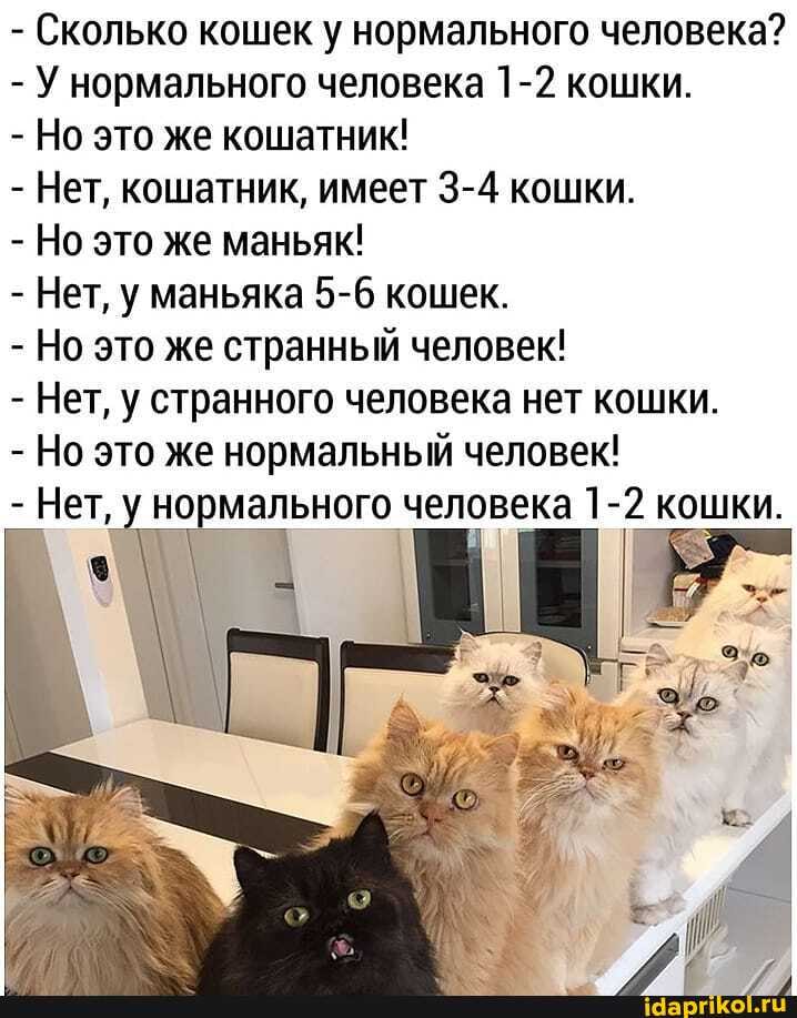 Посмеялся сам - поделись с другом!!!