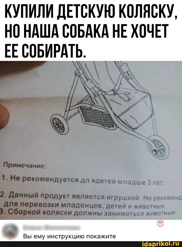 КУПИЛИ ДЕТСКУЮ КОЛЯСКУ,
НО НАША СОБАКА НЕ ХОЧЕТ ЕЕ СОБИРАТЬ.
Вы ему инструкцию покажите