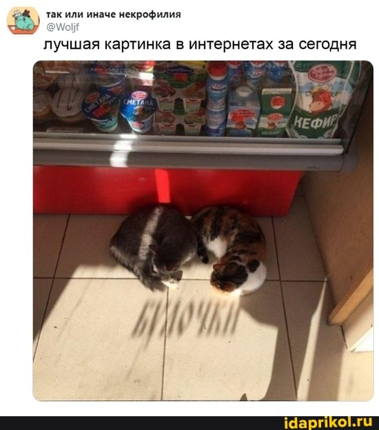 так или иначе некрофилия
лучшая картинка в интернетах за сегодня