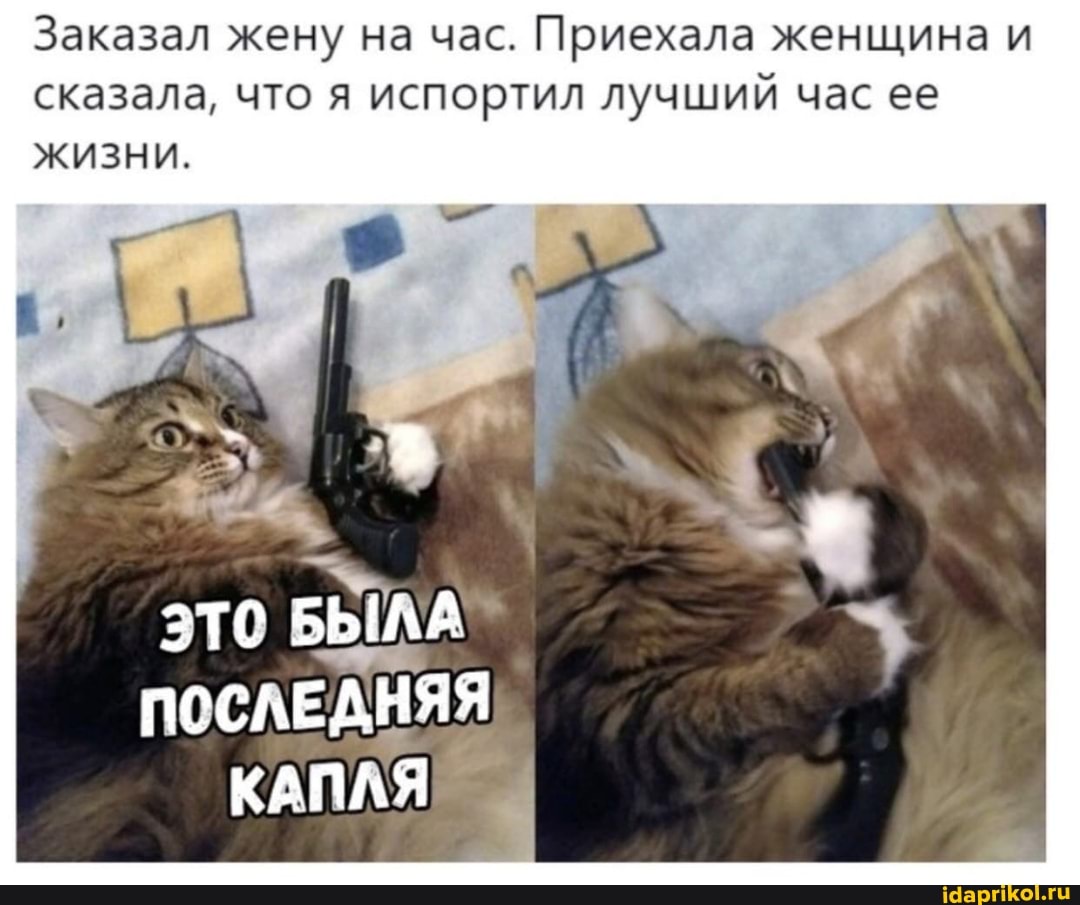 Заказал жену на час. Приехала женщина сказала, что я испортил лучший час ее жизни.
это БЫЛА ПОСЛЕДНЯЯ КАПЛЯ