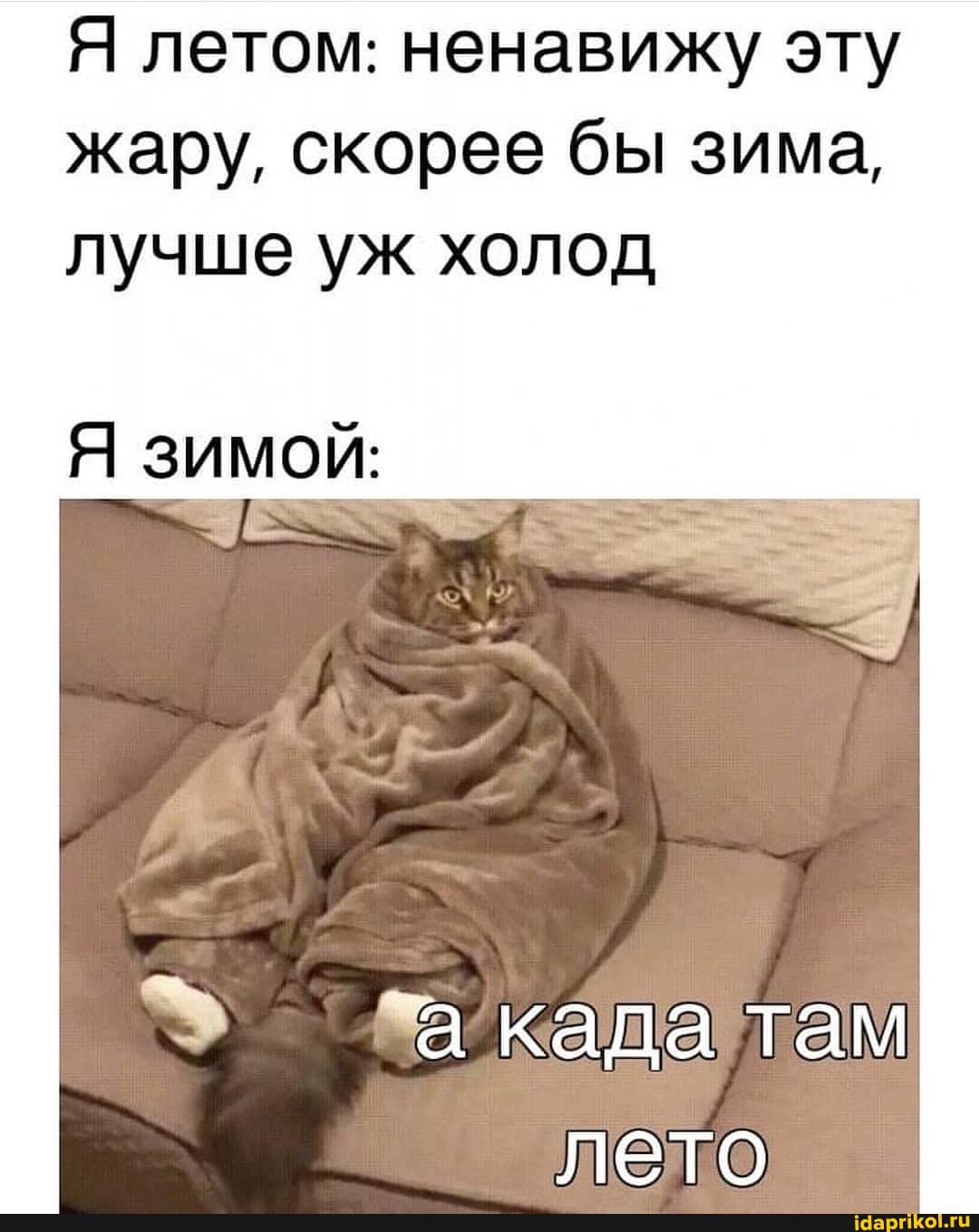 Я летом: ненавижу эту жару, скорее бы зима, лучше уж холод
зимой:
кала там лето