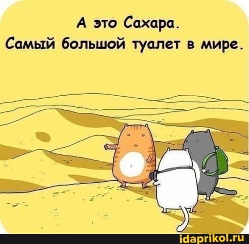 А это Сахара.
Самый большой туалет в мире.
