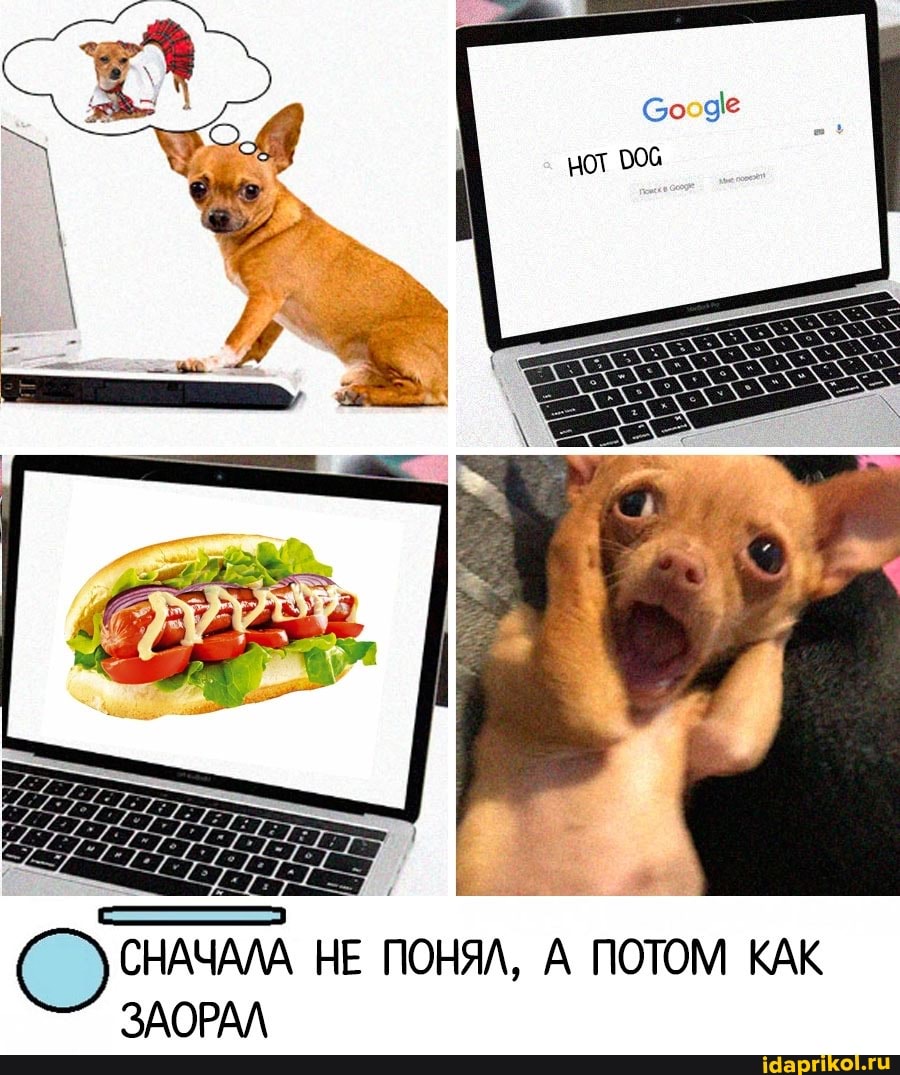 СНАЧАЛА НЕ ПОНЯЛ, А ПОТОМ КАК ЗАОРАЛ