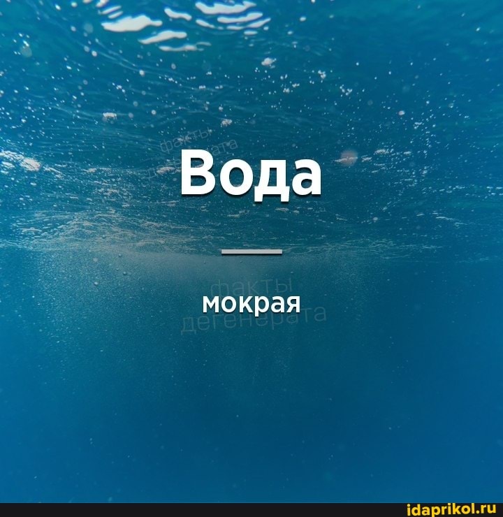 Вода
мокрая