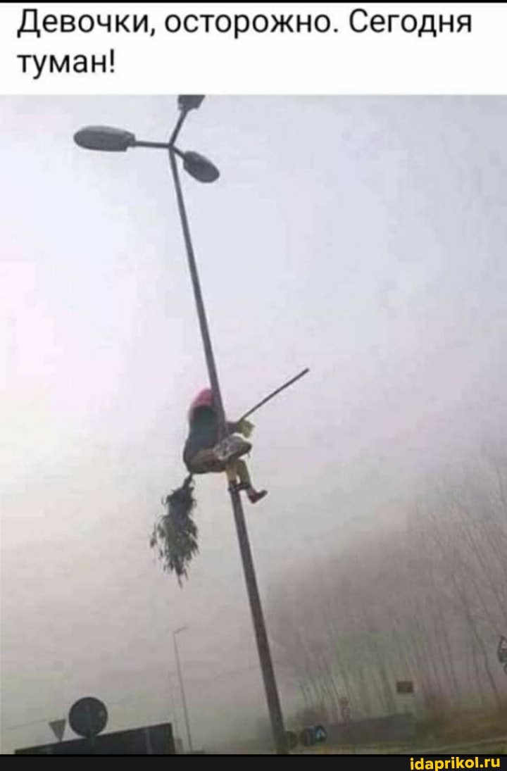Девочки, осторожно. Сегодня туман!