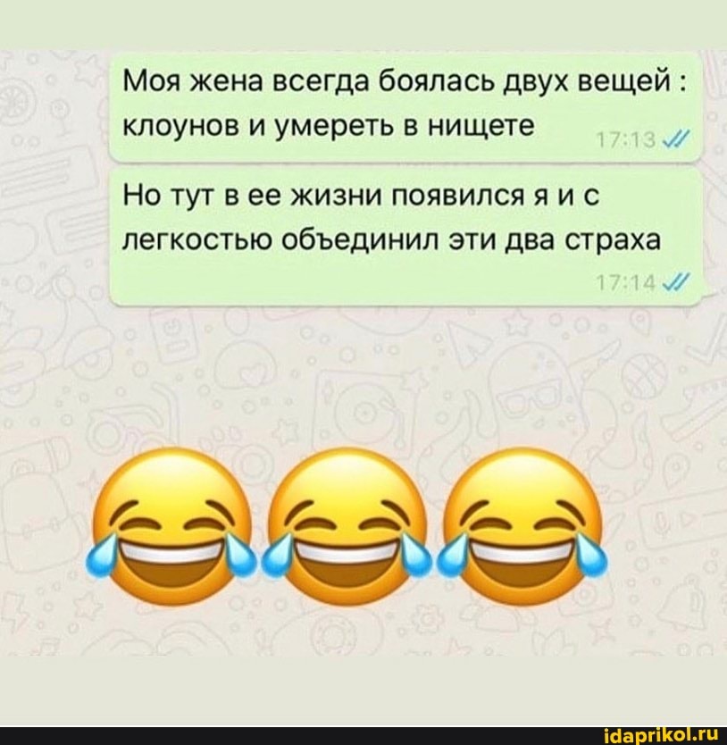 Моя жена всегда боялась двух вещей: клоунов и умереть в нищете
Но тут в ее жизни появился я ис
легкостью обединил эти два страха