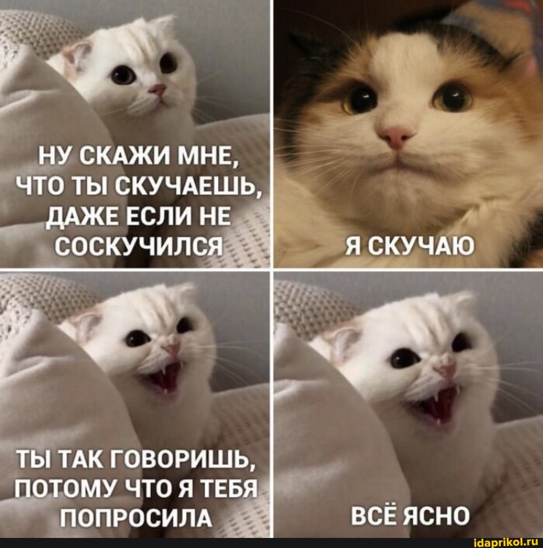 НУ СКАЖИ МНЕ, I ЧТО ТЫ СКУЧАЕШЬ,
ДАЖЕ ЕСЛИ НЕ СОСКУЧИЛСЯ Я СКУЧАЮ
ТЫ ТАК ГОВОРИШЬ,
ПОТОМУ ЧТО Я ТЕБЯ ПОПРОСИЛА ВСЕ ЯСНО