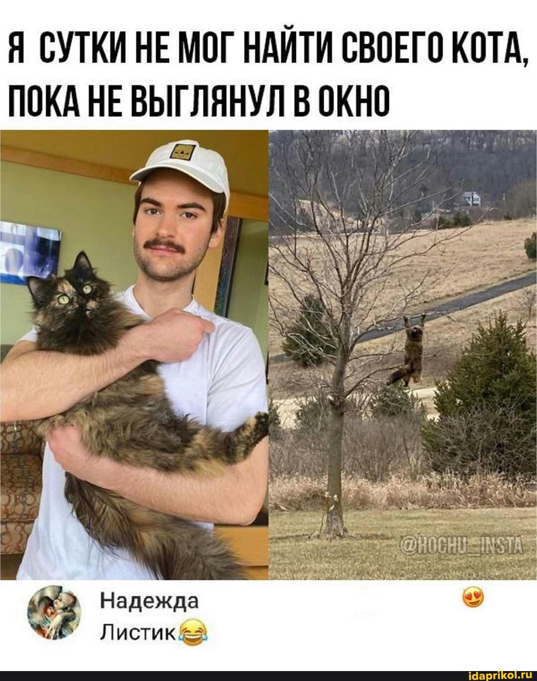 Я СУТКИ НЕ МОГ НАЙТИ СВОЕГО КОТА,
ПОКА НЕ ВЫГЛЯНУЛ В ОКНО
Надежда
Листик