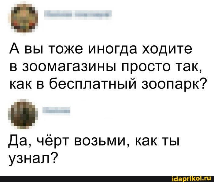 А вы тоже иногда ходите в зоомагазины просто так, как в бесплатный зоопарк?
Да, чёрт возьми, как ты узнал?