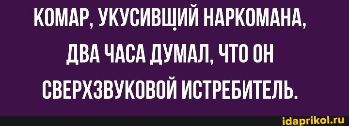 КОМАР, УКУСИВШИЙ НАРКОМАНА,
ДВА ЧАСА ДУМАЛ, ЧТО ОН СВЕРХЗВУКОВОЙ ИСТРЕБИТЕЛЬ.