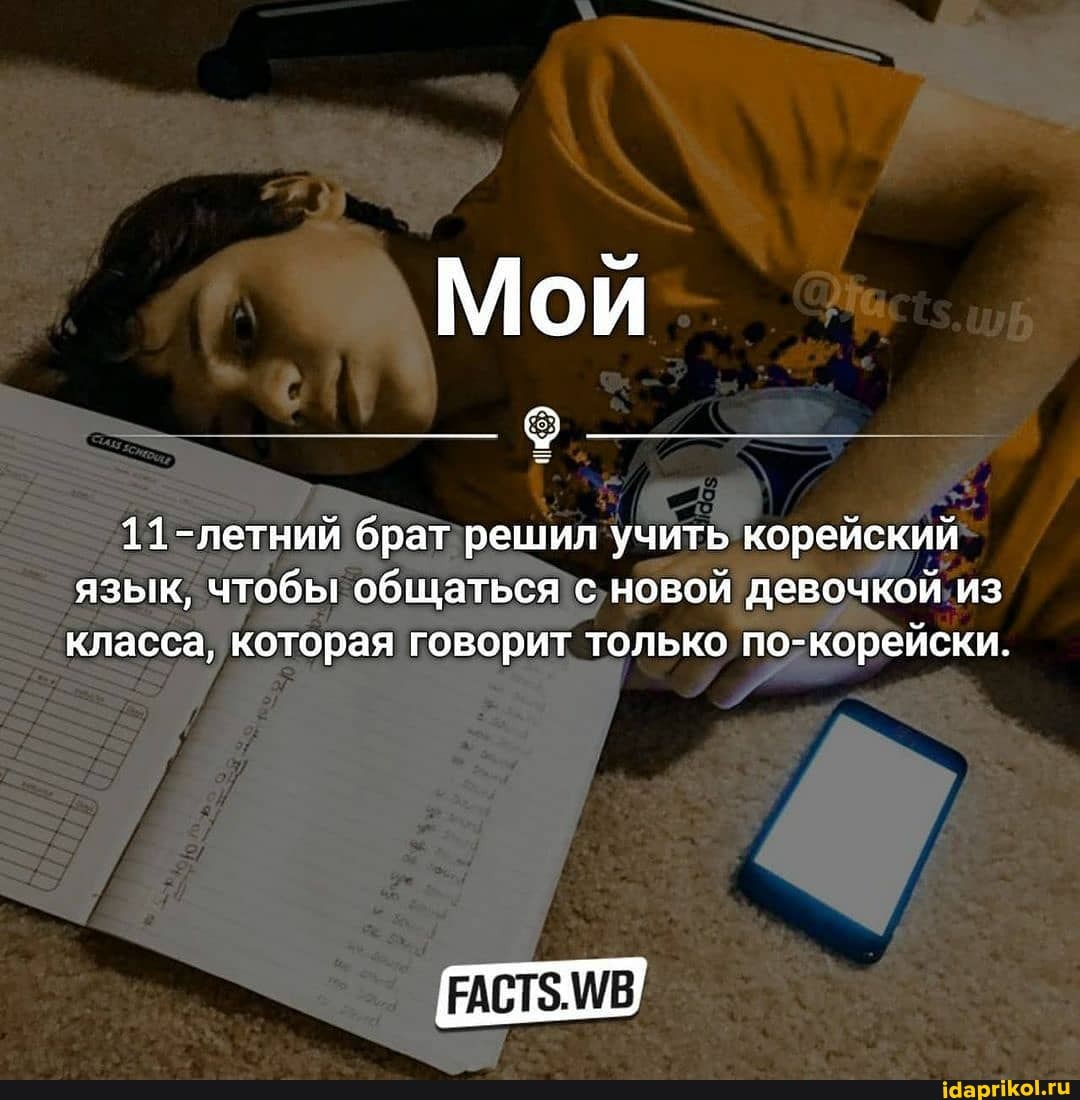11-летний брат решил учить корейский язык, чтобы общаться с новой девочкой из класса, которая говорит только по-корейски.