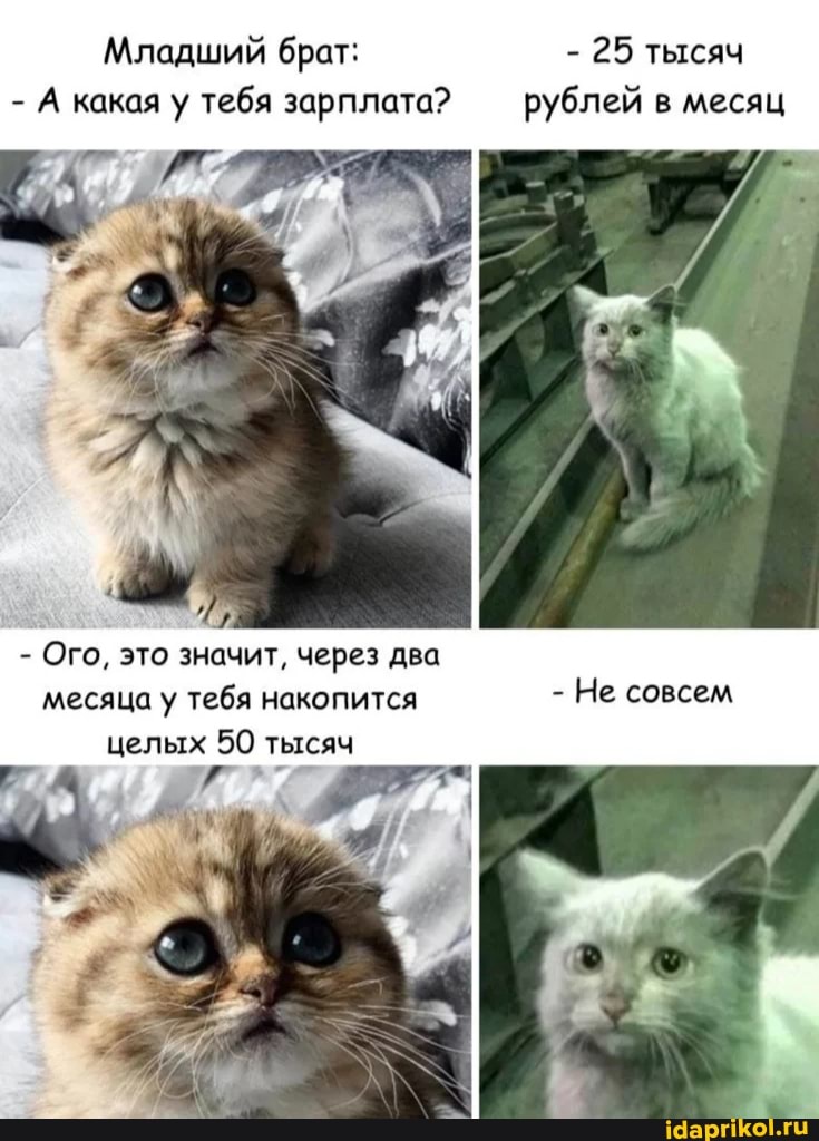 Младший брат: - 25 тысяч
А какая у тебя зарплата? рублей в месяц
- Ого, это значит, через два месяца у тебя накопится - Не совсем целых 50 тысяч