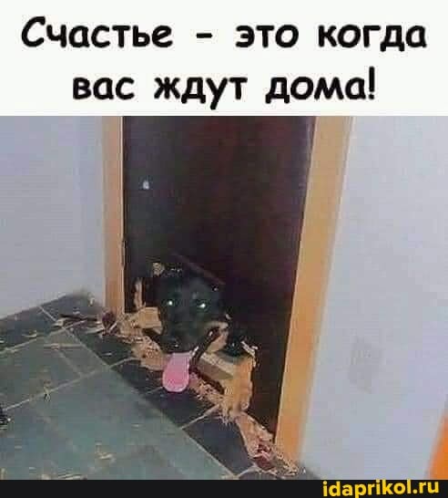 Счастье - это когда вас ждут дома!