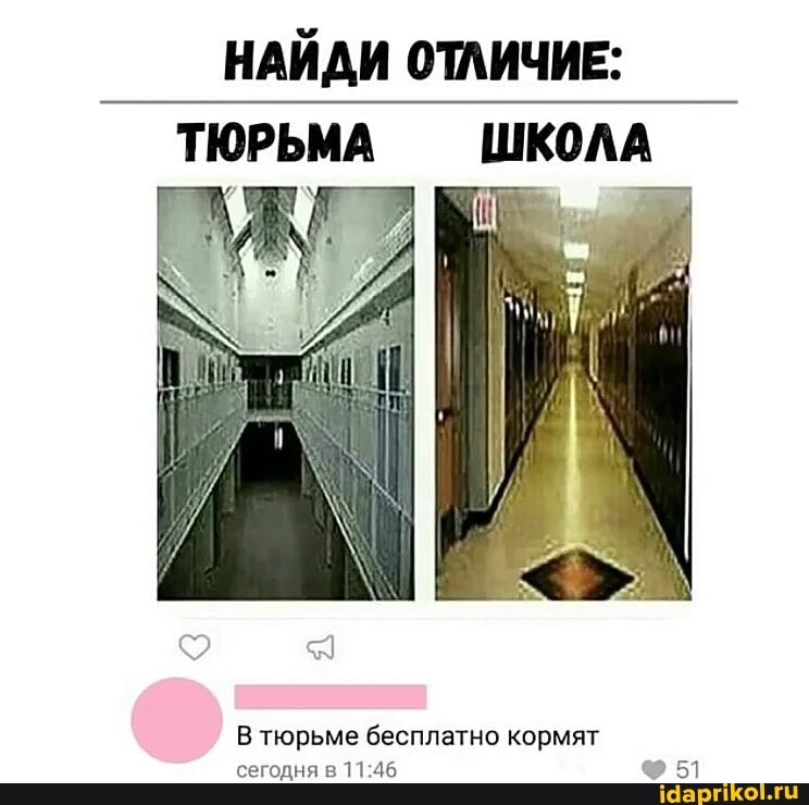 НАЙДИ ОТЛИЧИЕ:
ТЮРЬМА ШКОЛА
В тюрьме бесплатно кормят
сегодня в 11:46 ® 51
