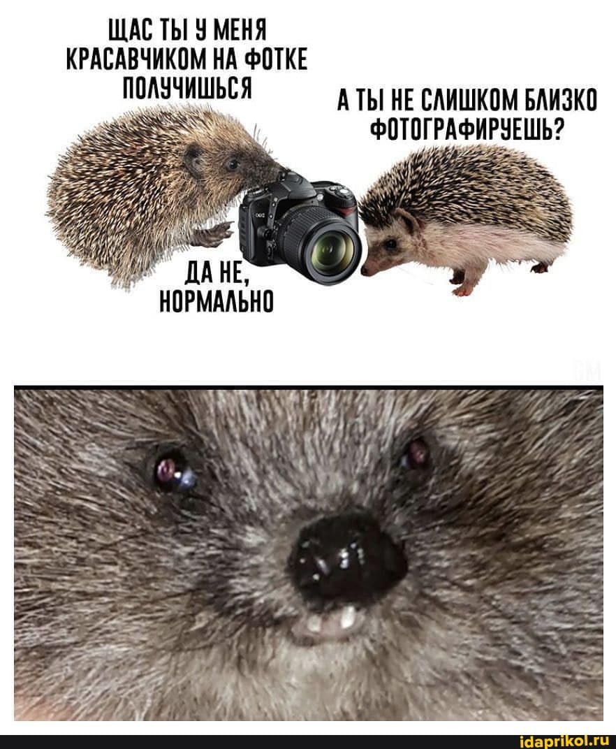 ЩАС ТЫ У МЕНЯ КРАСАВЧИКОМ НА ФОТКЕ
ПОЛУЧИШЬС
ПОЛУЧИШЬСЯ АТЫ НЕ СЛИШКОМ БЛИЗКО ФОТОГРАФИРУЕШЬ?
ДАНЕ,
НОРМАЛЬНО