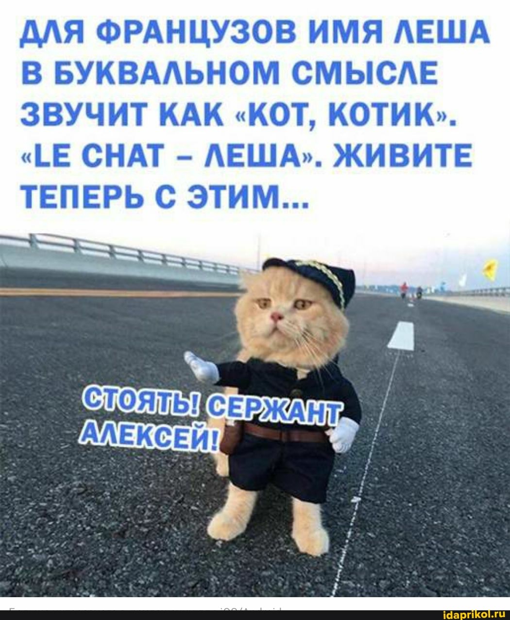 ДЛЯ ФРАНЦУЗОВ ИМЯ ЛЕША В БУКВАЛЬНОМ СМЫСЛЕ ЗВУЧИТ КАК "КОТ, КОТИК...
"ЕЕ СНАТ - ЛЕША". ЖИВИТЕ ТЕПЕРЬ С ЭТИМ..
СЕ I АЛЕКСЕЙ!