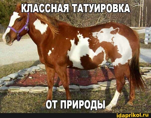 КЛАССНАЯ ТАТУИРОВКА
ОТ ПРИРОДЫ
