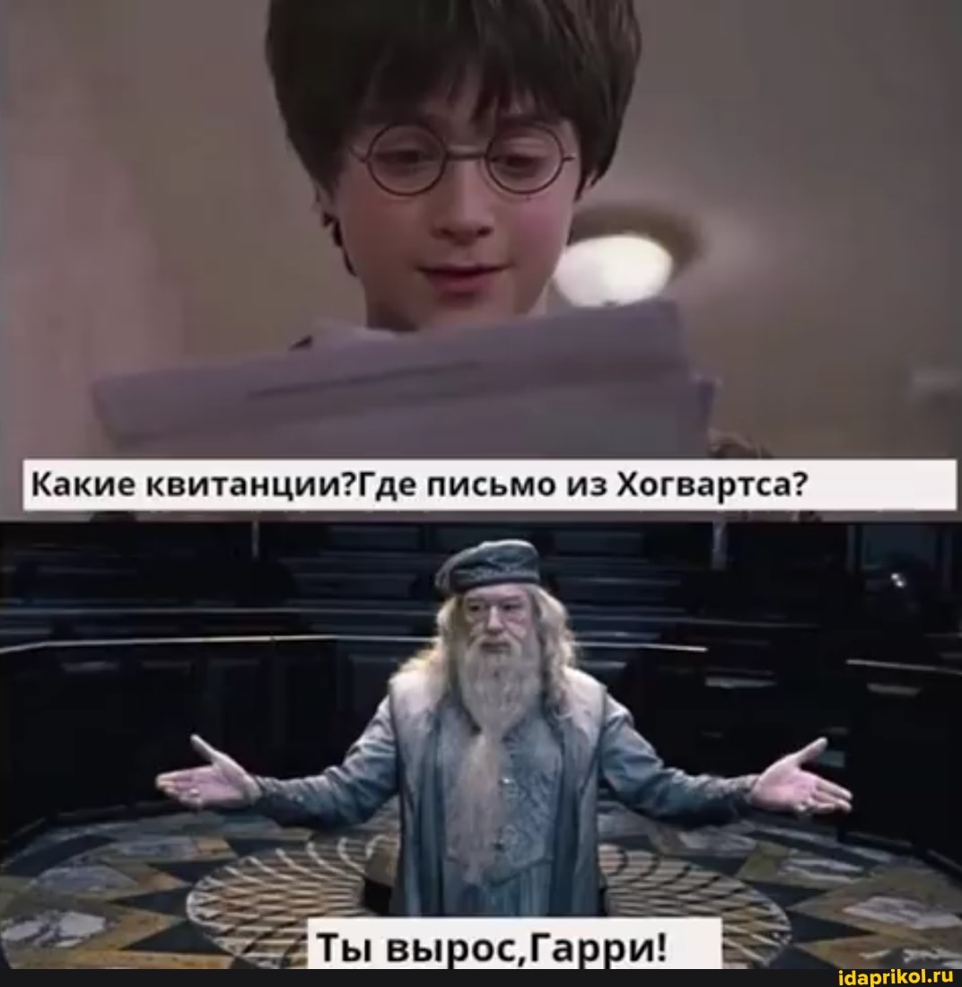[Какие квитанции? Где письмо из Хогвартса?