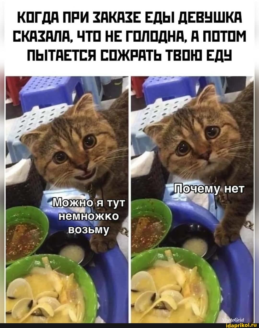 КОГДА ПРИ ЗАКАЗЕ ЕДЫ ДЕВУШКА СКАЗАЛА, ЧТО НЕ ГОЛОДНА, А ПОТОМ ПЫТАЕТСЯ СОЖРАТЬ ТВОЮ ЕДУ
Почему нет
'я тут
немножко
возьму