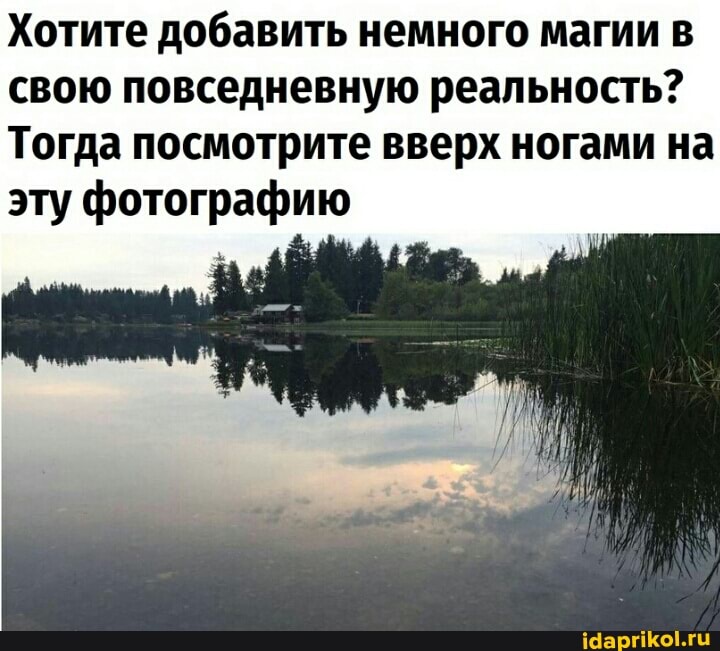 Хотите добавить немного магии в свою повседневную реальность?
Тогда посмотрите вверх ногами на
ЕЕ
эту фотографию
