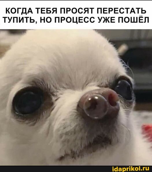 КОГДА ТЕБЯ ПРОСЯТ ПЕРЕСТАТЬ ТУПИТЬ, НО ПРОЦЕСС УЖЕ ПОШЁЛ