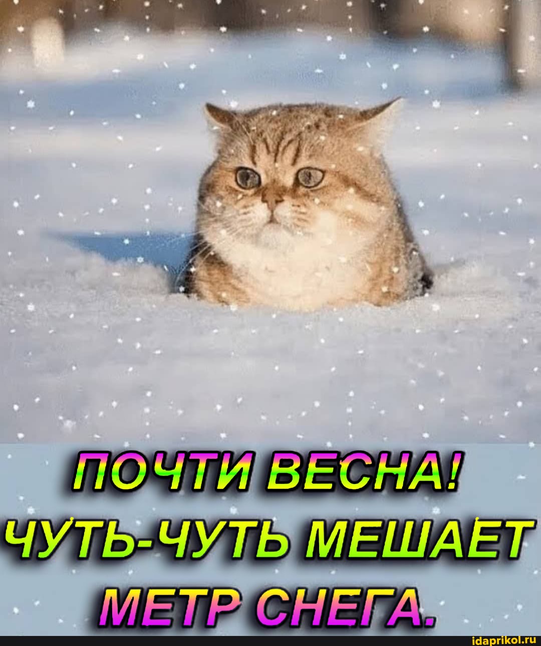 ПОЧТИ ВЕСНА\
СНЕ