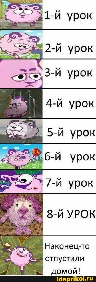 урок урок
урок
урок
УРОК
Наконец-то отпустили домой!