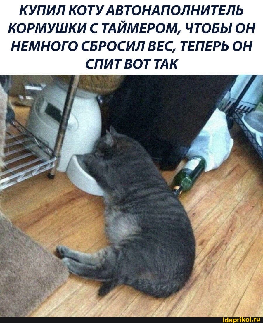 КУПИЛ КОТУ АВТОНАПОЛНИТЕЛЬ КОРМУШКИ С ТАЙМЕРОМ, ЧТОБЫ ОН НЕМНОГО СБРОСИЛ ВЕС, ТЕПЕРЬ ОН
СПИТ ВОТ ТАК