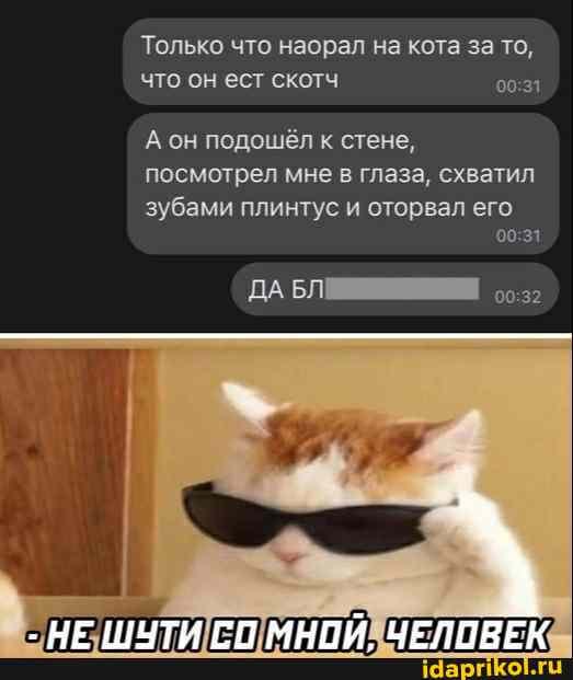Только что наорал на кота за то,
что он ест скотч
А он подошёл к стене,
посмотрел мне в глаза, схватил
зубами плинтус и оторвал его
ДА БЛ
НЕ ШУТИ ГО МНОЙ, ЧЕЛОВЕК