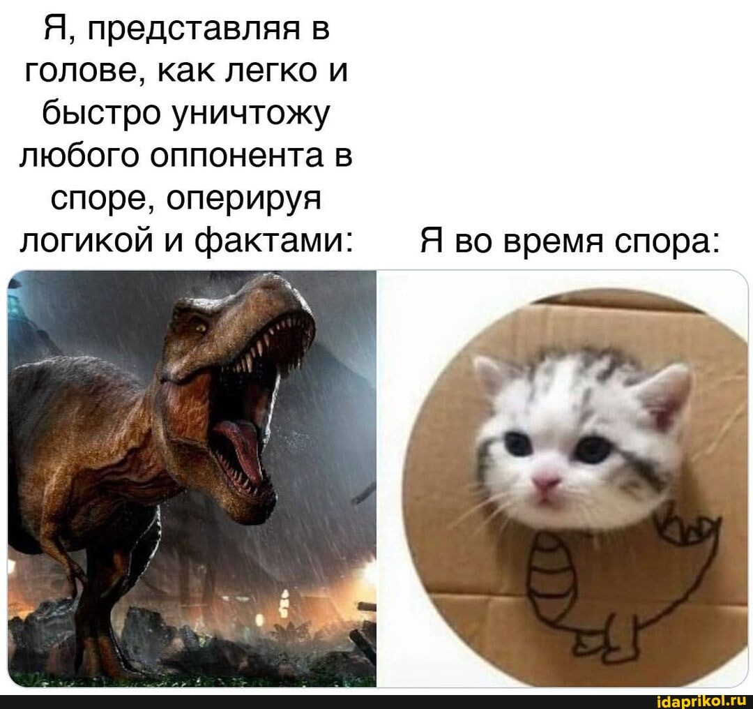 Я, представляя в голове, как легко и быстро уничтожу любого оппонента в споре, оперируя логикой и фактами: Я во время спора: